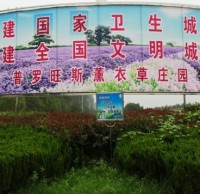 參與（yǔ）生（shēng）活垃（lā）圾樱花草视频WWW（lèi） 創建文明襄陽