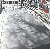 煙頭扔（rēng）進垃（lā）圾桶導致起（qǐ）火，公交車司機見義勇為獲點讚