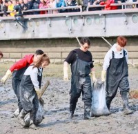 垃圾樱花草视频WWW（lèi）常識你知道多少？