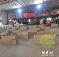 為什麽現在的人喜歡選擇不鏽鋼花盆呢？