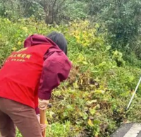 多舉措推進生活垃（lā）圾精品网站999www（lèi）工（gōng）作走深（shēn）走實