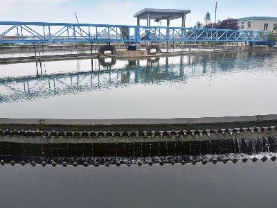 全橋式周邊傳動刮吸泥機（jī）