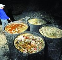 生活垃圾分（fèn）類知識“地溝油”最後都去了哪裏呢？