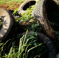廢棄垃圾汙染環境圖片